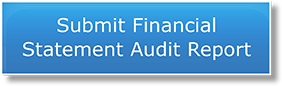 audit-guidance-faqs-on-submission-requirements
